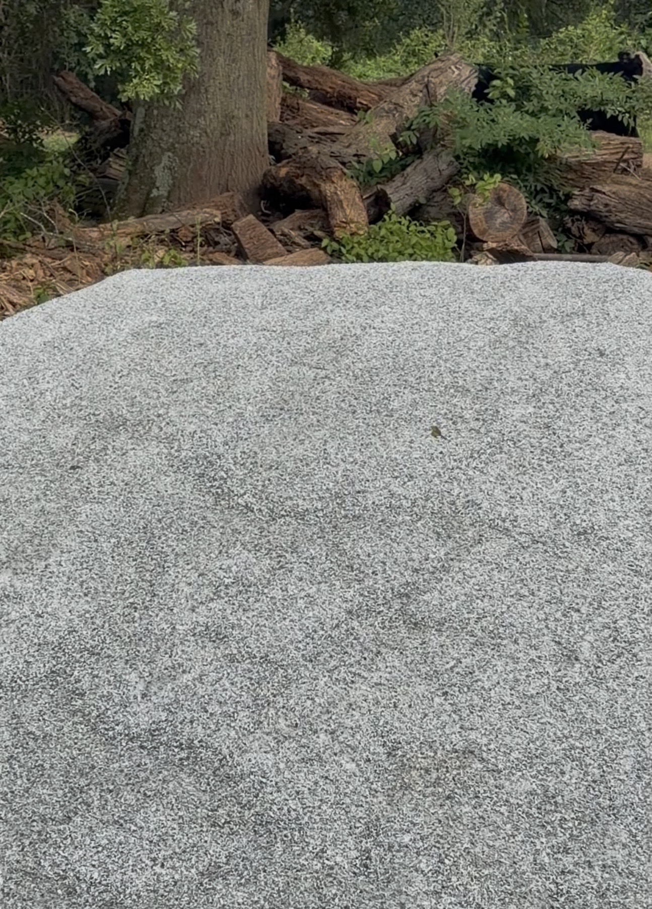 Sand