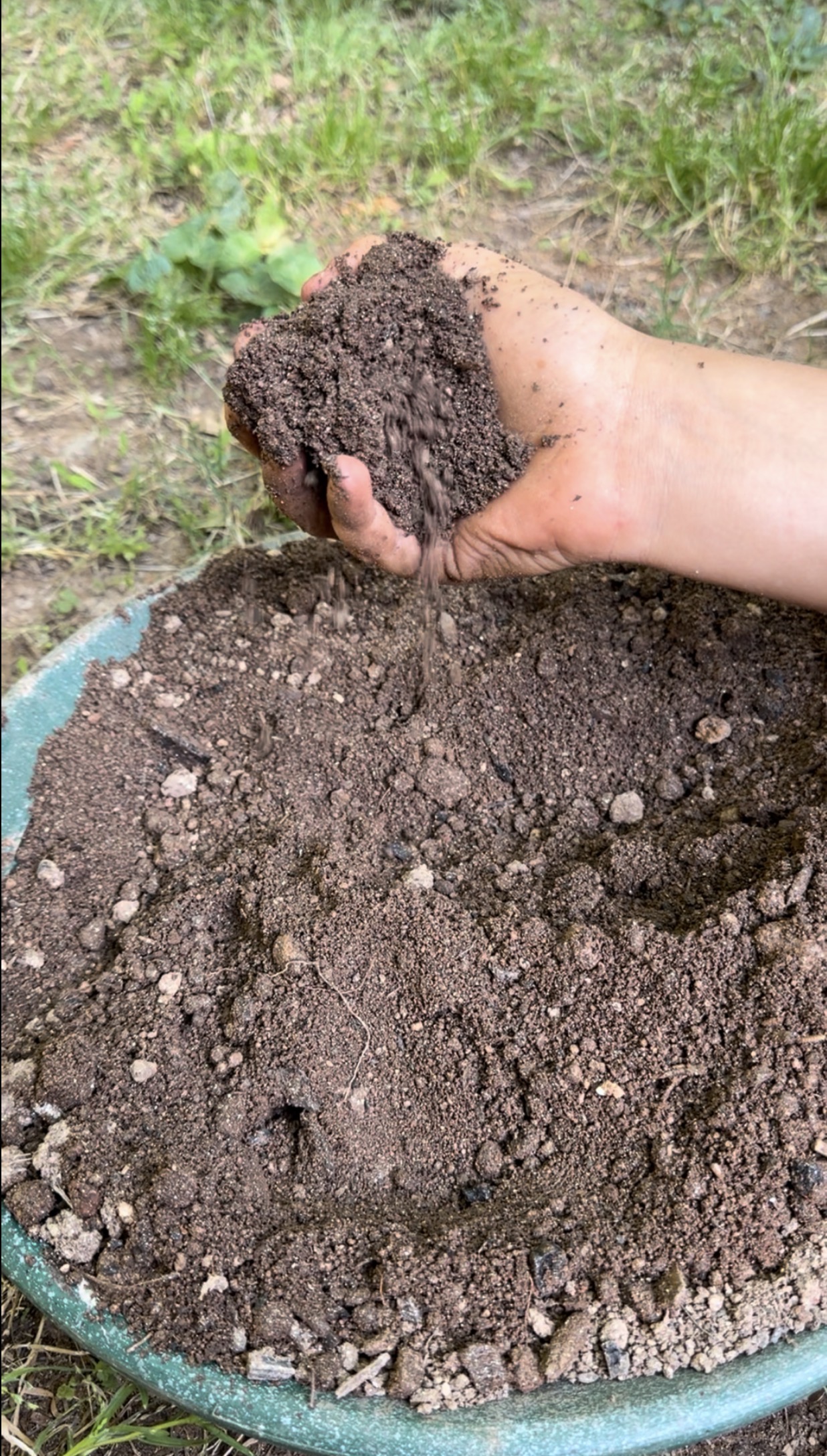 Screened Topsoil